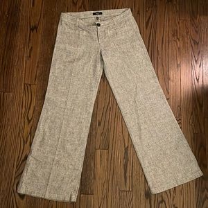Express Business Casual Pants